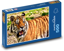 Tiger - predator, big cat Puzzle of 500 pieces - 46 x 30 cm 