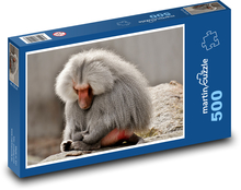 Pavián - opice, zoo Puzzle 500 dílků - 46 x 30 cm