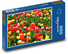 Tulipány - zahrada, jarní květiny Puzzle 500 dílků - 46 x 30 cm