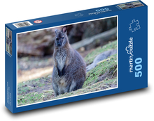 Kangaroo - animal, Australia Puzzle of 500 pieces - 46 x 30 cm 