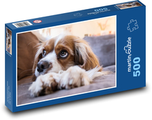 Pes - štěně, mazlíček Puzzle 500 dílků - 46 x 30 cm