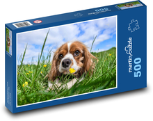 Pes - roztomilé šteňa Puzzle 500 dielikov - 46 x 30 cm 