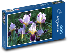 Kosatec, kvetina, záhrada Puzzle 500 dielikov - 46 x 30 cm 
