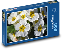 Pierwiosnek - pierwiosnek, wiosenny kwiat Puzzle 500 elementów - 46x30 cm