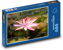 Růžový leknín - vodní květina, květ Puzzle 500 dílků - 46 x 30 cm