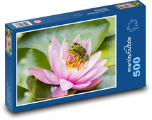 Frosch - Seerose, Teich Puzzle 500 Teile - 46 x 30 cm