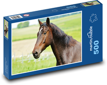 Horse - stallion, farm Puzzle of 500 pieces - 46 x 30 cm 