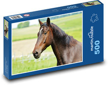 Pferd - Hengst, Bauernhof Puzzle 500 Teile - 46 x 30 cm