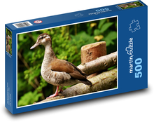 Kaczka - ptak wodny, zwierzę Puzzle 500 elementów - 46x30 cm
