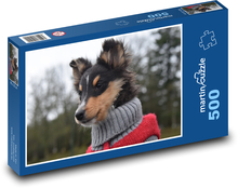 Owczarek Szetlandzki - pies, zwierzę Puzzle 500 elementów - 46x30 cm