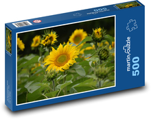 Slunečnice - žluté květiny Puzzle 500 dílků - 46 x 30 cm