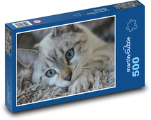 Kociak na kocu Puzzle 500 elementów - 46x30 cm