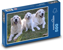 Zlatý retriever - psy, šteňa Puzzle 500 dielikov - 46 x 30 cm 