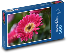 Flower - gerbera, flower Puzzle of 500 pieces - 46 x 30 cm 