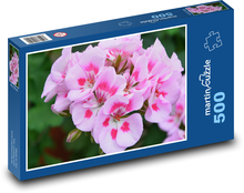 Pelargónie - růžový květ, muškát Puzzle 500 dílků - 46 x 30 cm