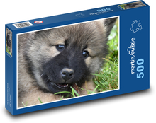 Pes - eurasier, štěně Puzzle 500 dílků - 46 x 30 cm