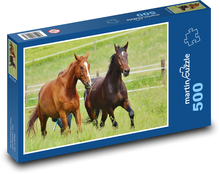 Kone - žrebec, zvieratá Puzzle 500 dielikov - 46 x 30 cm 