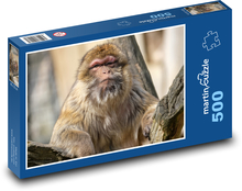 Makak - opice, zvíře Puzzle 500 dílků - 46 x 30 cm