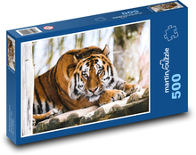 Tygr - zvíře, zoo Puzzle 500 - 46x30 cm