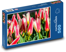 Tulpen - Blumen, Garten Puzzle 500 Teile - 46 x 30 cm