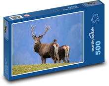 Jeleń - poroże, dzika przyroda Puzzle 500 elementów - 46x30 cm