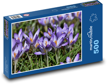 Krokus - kwiat, ogród Puzzle 500 elementów - 46x30 cm