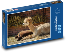 Alpaka - lama, zwierzę Puzzle 500 elementów - 46x30 cm