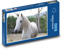Austrálsky pony - biely kôň Puzzle 500 dielikov - 46 x 30 cm