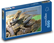 Lizard - agama, reptile Puzzle of 500 pieces - 46 x 30 cm 