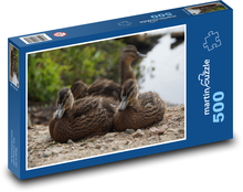 Kachny divoké - vodní pták Puzzle 500 dílků - 46 x 30 cm