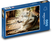 Vlk - zvíře, příroda Puzzle 500 dílků - 46 x 30 cm