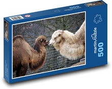 Wielbłądy - zwierzę, safari Puzzle 500 elementów - 46x30 cm