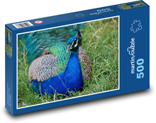 Peacock - bird, feathers Puzzle of 500 pieces - 46 x 30 cm 