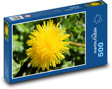 Löwenzahn - gelbe Blume, Frühling Puzzle 500 Teile - 46 x 30 cm