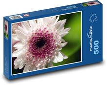 Chrysantheme - Blume, weiße Blume Puzzle 500 Teile - 46 x 30 cm
