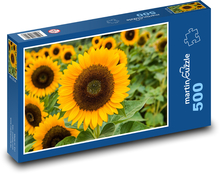 Słonecznik - ogród, żółty kwiat Puzzle 500 elementów - 46x30 cm