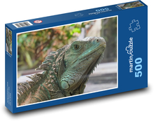 Green iguana - lizard, reptile Puzzle of 500 pieces - 46 x 30 cm 