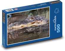 Krokodýl - plaz, voda Puzzle 500 dílků - 46 x 30 cm