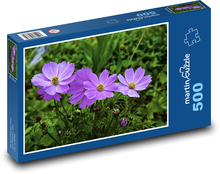 Anemone - garden, flower Puzzle of 500 pieces - 46 x 30 cm 