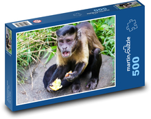 Opica - zviera, roztomilý Puzzle 500 dielikov - 46 x 30 cm 
