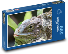 Iguana - jašterica, plaz Puzzle 500 dielikov - 46 x 30 cm 