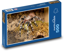 Tarantula - tarantula, spider Puzzle of 500 pieces - 46 x 30 cm 
