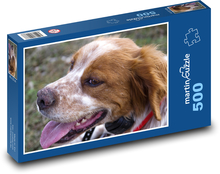 Britischer Springer Spaniel - Hund, Haustier Puzzle 500 Teile - 46 x 30 cm