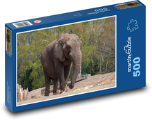 Slon - Afrika, savec Puzzle 500 dílků - 46 x 30 cm