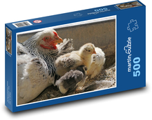 Kury - kurczak, drób Puzzle 500 elementów - 46x30 cm