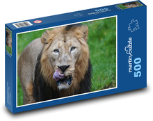 Lion - predator, big cat Puzzle of 500 pieces - 46 x 30 cm 