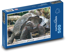 Želva obří - zvíře, zoo Puzzle 500 - 46x30 cm