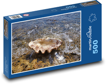 Giant clams - beach, sea Puzzle of 500 pieces - 46 x 30 cm 