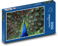 Páv - vták, zviera Puzzle 500 dielikov - 46 x 30 cm 