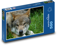 Wolf - Raubtier, Tier Puzzle 500 Teile - 46 x 30 cm
